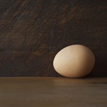 Studio shot of egg.