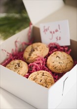 Christmas cookies in box. Photo : Jamie Grill Photography