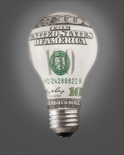 Composition of bulb and one hundred dollar note. Photo : Mike Kemp