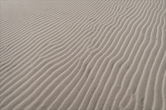 USA, California, Death Valley, Sand Dune. Photo : Gary Weathers