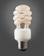 Composition of energy efficient bulb and human brain. Photo : Mike Kemp