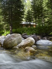 USA, Colorado, River flowing through forest. Photo : John Kelly