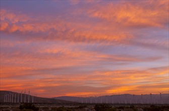 USA, California, Palm Springs, wind turbines at sunrise. Photo : Gary Weathers