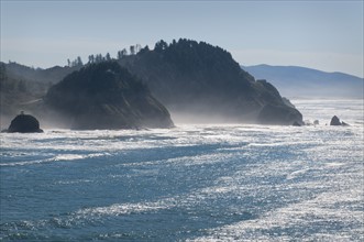 USA, Oregon coastline. Photo : Gary Weathers