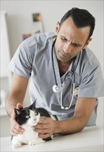 Vet examining cat in pet clinic.