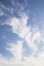 Cirrus clouds. Photo : Chris Hackett