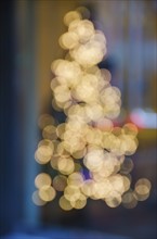 Illuminated Christmas tree lights.
