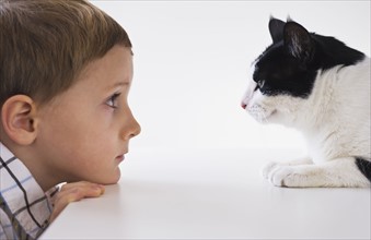 Boy (4-5) and cat looking at each other face to face. Photo : Daniel Grill