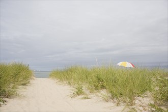 USA, Massachusetts, beach umbrella among Marram grass on beach. Photo : Chris Hackett