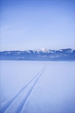 USA, Montana, Whitefish, Cross country skiing tracks in snow. Photo : Noah Clayton