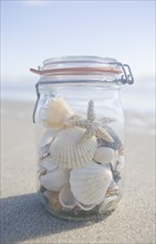 USA, Massachusetts, close up of shells in jar. Photo : Chris Hackett