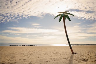 USA, New York City, Coney Island, palm tree on beach. Photo : Shawn O'Connor