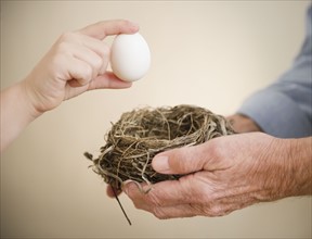 Close up of hands of grandfather and grandson (8-9) holding bird's nest and egg. Photo : Jamie