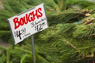 Christmas tree branches for sale.