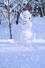 USA, New York, New York City, snowman in snowflakes.