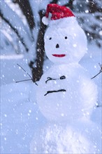 USA, New York, New York City, snowman in snowflakes.