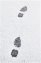 USA, New Jersey, Footprints in snow. Photo: Chris Hackett