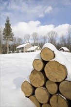 USA, New Jersey, Stack of timber in winter scenery. Photo: Chris Hackett
