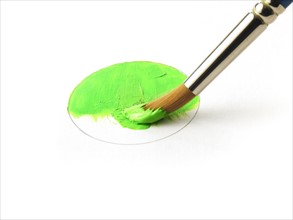 Paintbrush in green paint on white background. Photo: David Arky