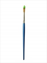 Blue paintbrush with green paint on white background. Photo : David Arky
