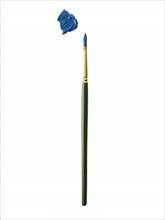 Green paintbrush with blue paint on white background. Photo : David Arky