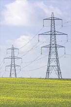UK, Cambs, Burwell, Electricity pylons. Photo : Justin Paget