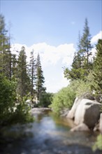 USA, California, Sonora Pass, Landscape with stream. Photo : Noah Clayton