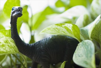 Figurine of dinosaur among leaves. Photo: Antonio M. Rosario
