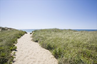 USA, Massachusetts, Path through sand dunes. Photo: Chris Hackett
