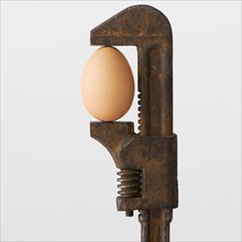 Close up of egg in rusty wrench.