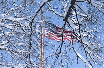 USA, New York, New York City, american flag behind branches covered with snow.