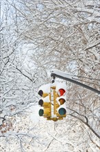 USA, New York, New York City, traffic lights with trees in snow behind.