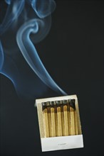 Close up of extinguished matches with smoke.