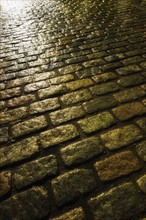 USA, New York, New York City, close up of cobblestone street at night.
