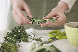 Woman preparing herbs.