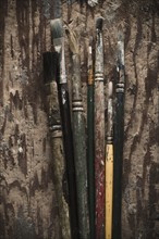 Selection of paintbrushes. Photo : Kristin Lee