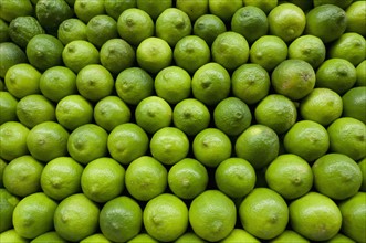 Stack of limes on market. Photo : Antonio M. Rosario