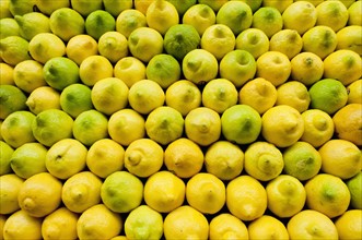 Stack of lemons on market. Photo : Antonio M. Rosario