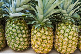 Pineapples on market. Photo : Antonio M. Rosario
