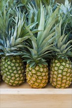 Pineapples on market. Photo: Antonio M. Rosario