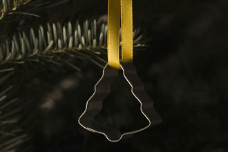 Close-up view of decoration hanging on Christmas tree. Photo : Kristin Lee