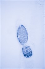 Close-up view of footprint in snow. Photo : Kristin Lee