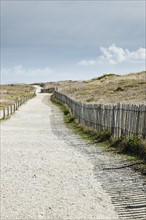France, Brittany, Morbihan Department, Coastal path and fence,. Photo: Jon Boyes