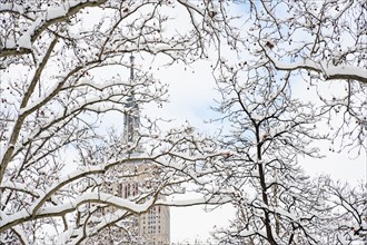 USA, New York, New York City, Empire State Building behind winter trees.