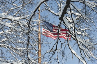 USA, New York, New York City, american flag behind winter trees.