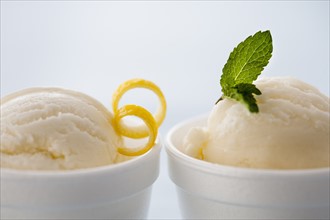Close up of ice cream with lemon peel an mint leaf.