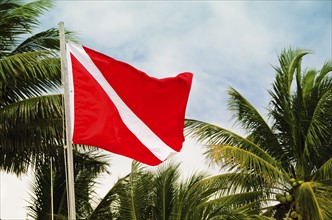 Mexico, Playa Del Carmen, red flag with palm trees. Photo : Tetra Images