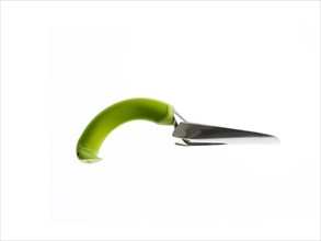 Green trowel on white background. Photo : David Arky