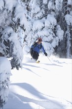 USA, California, Lake Tahoe, Mid adult woman skiing. Photo: Noah Clayton