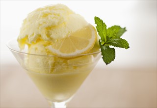 Close up of ice cream with mint leaf and lemon slice.